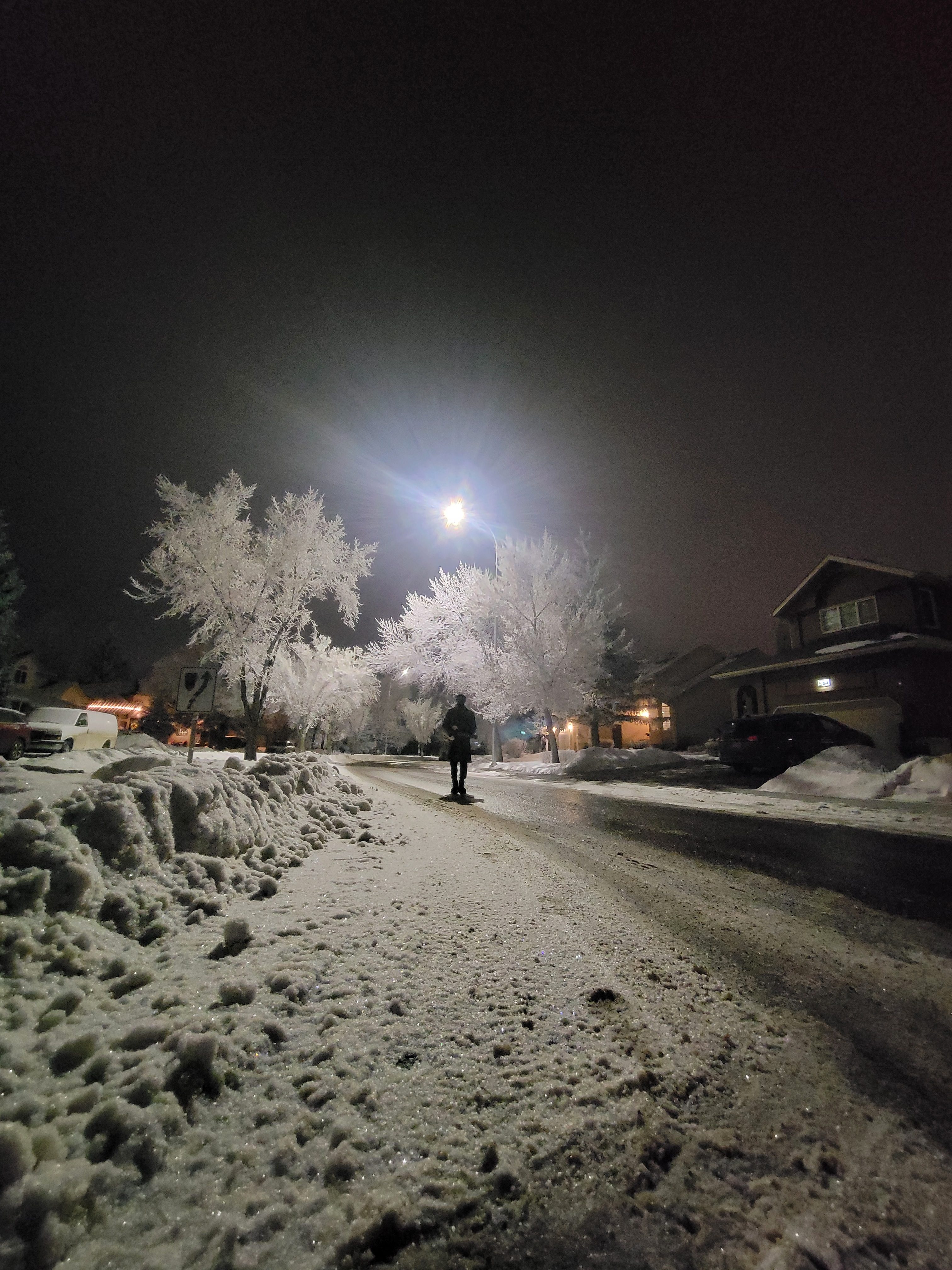 Zoolights: …Where Truth Lies.