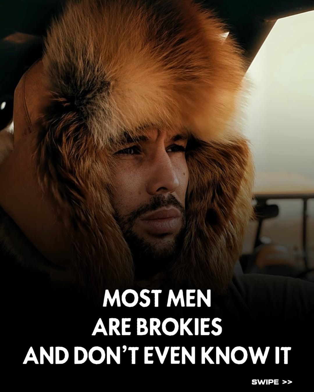 The Anatomy of a Brokie.